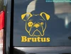 Personalized Bulldog head vinyl decal with custom dog name featuring front-facing English Bulldog face design
