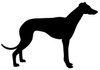 GREYHOUND Vinyl Sticker - English Sighthound Italian Dog Puppy - Die Cut Decal