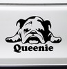 BULLDOG with Personalized Name Vinyl Sticker -V4- English Bully Dog Puppy - Die Cut Decal