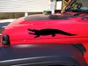 Alligator Crocodile vinyl decal with open mouth teeth and long reptile silhouette