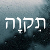 Hope in Hebrew Tikvah vinyl decal featuring traditional Hebrew lettering meaning hope for car windows, walls, mirrors, and Jewish home decor