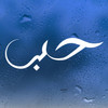 Love in Arabic calligraphy vinyl decal featuring the word Hub in flowing Arabic script displayed on a glass window