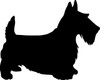 SCOTTISH TERRIER Vinyl Decak - Aberdeen Dog Puppy Canine Scotty - Die Cut Decal