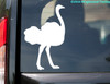 OSTRICH Vinyl Sticker  African Bird - Die Cut Decal