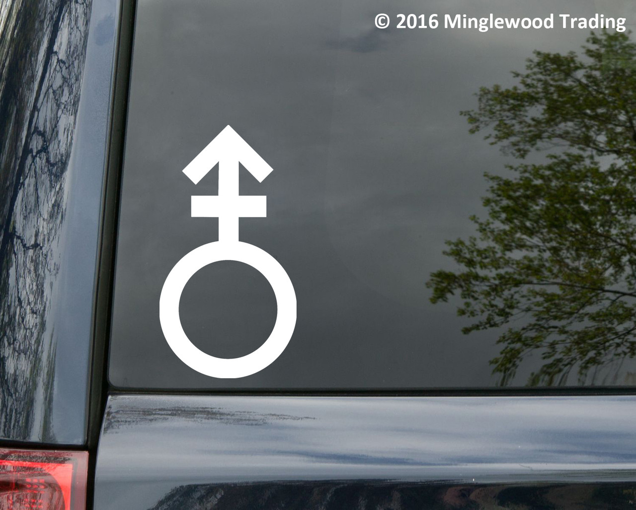 Androgynous Gender Symbol Sign vinyl decal sticker 5" x 2.75" Androgyny