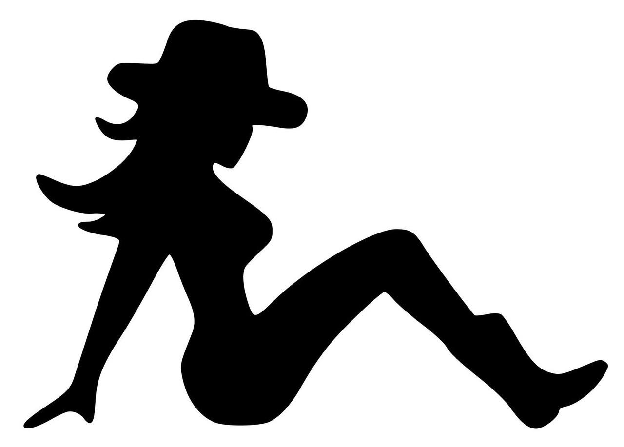 MUDFLAP COWGIRL Vinyl Sticker - Trucker Girl Lady Silhouette Country Truck - Die Cut Decal