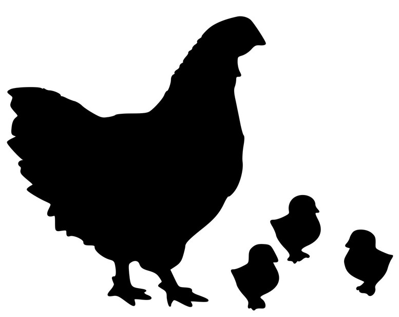 Hen and Chicks vinyl decal featuring a mother chicken with three baby chick silhouettes for farmhouse and chicken coop decor