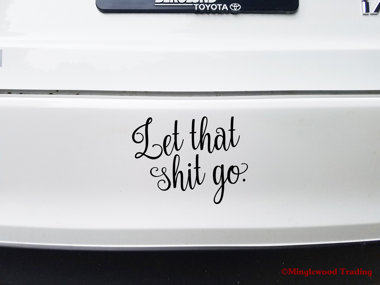 LET THAT SHIT GO 6" x 4.5" Vinyl Decal Sticker - Move On!