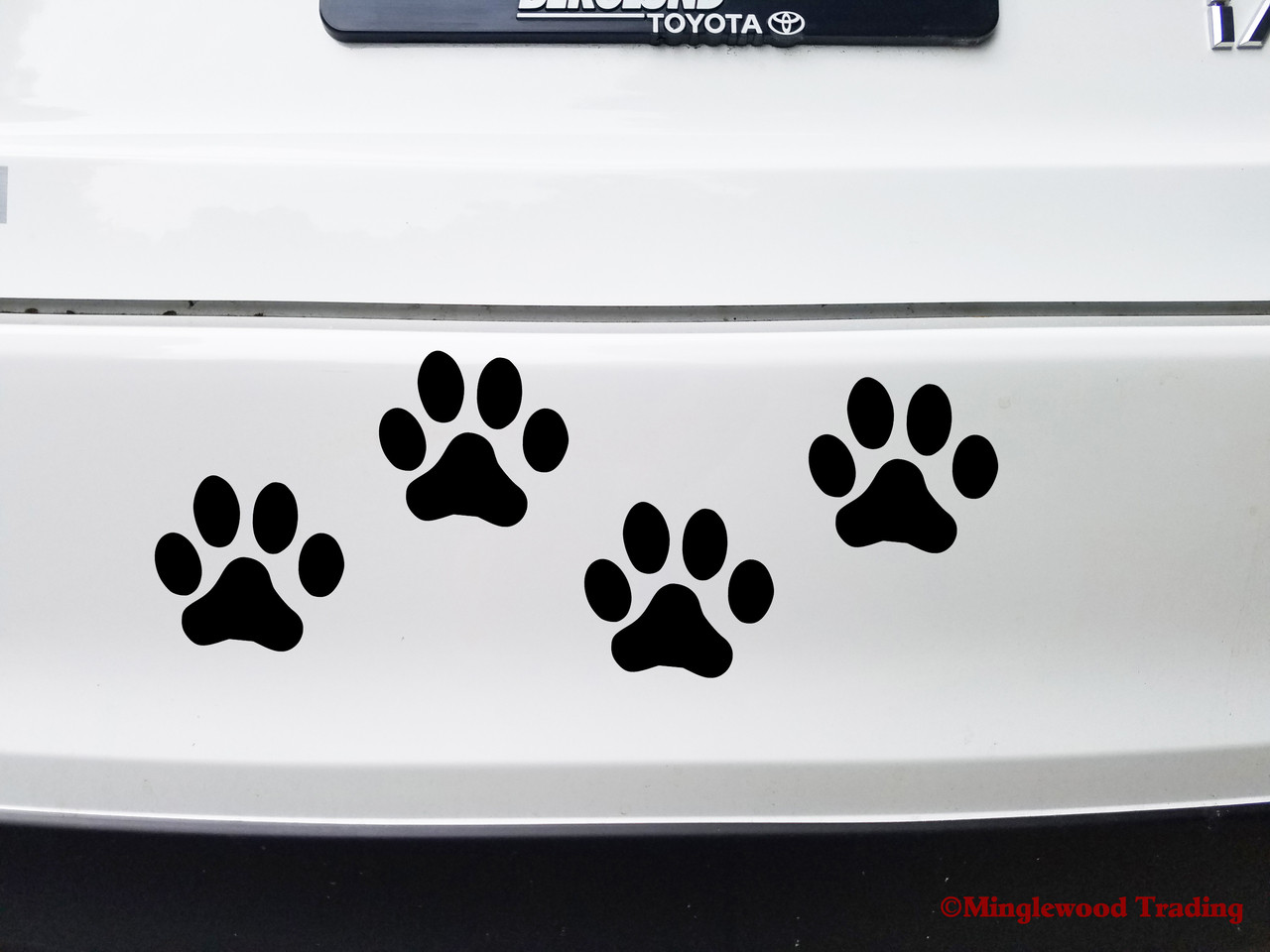 Set of 8 feline pawprint vinyl decals on a car bumper - ideal animal wall decor and cat paw sticker