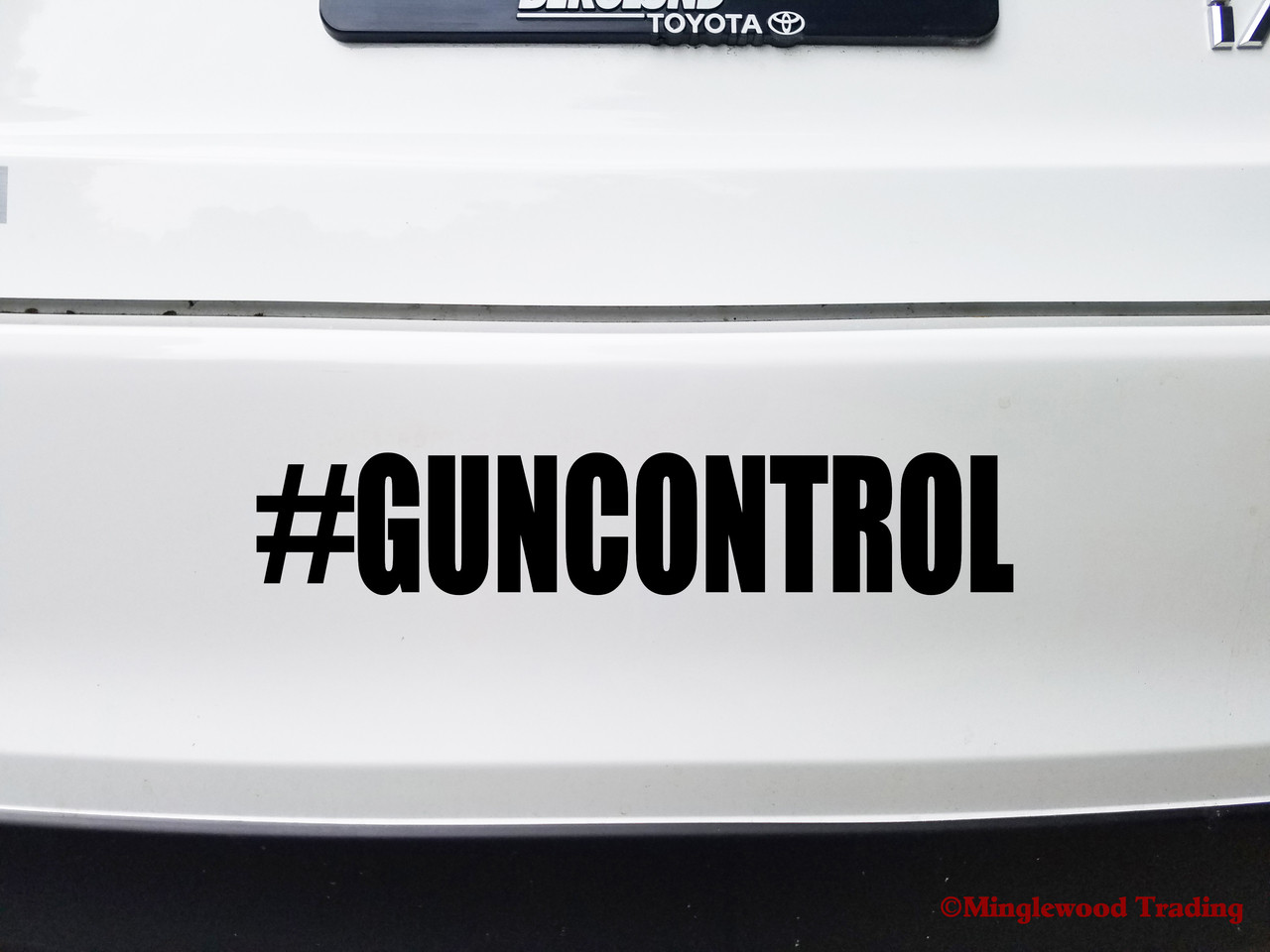 #GUNCONTROL  Vinyl Decal Sticker - Gun Control Firearm Law