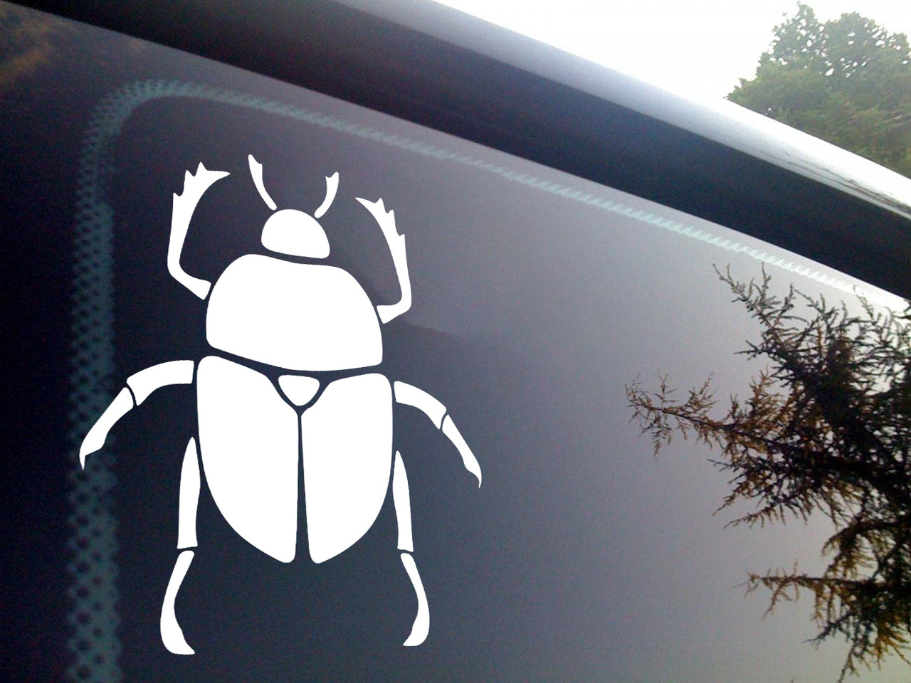 Scarab beetle vinyl decal featuring symmetrical Egyptian dung beetle silhouette with antennae, segmented legs and wing covers for car windows and wall decor