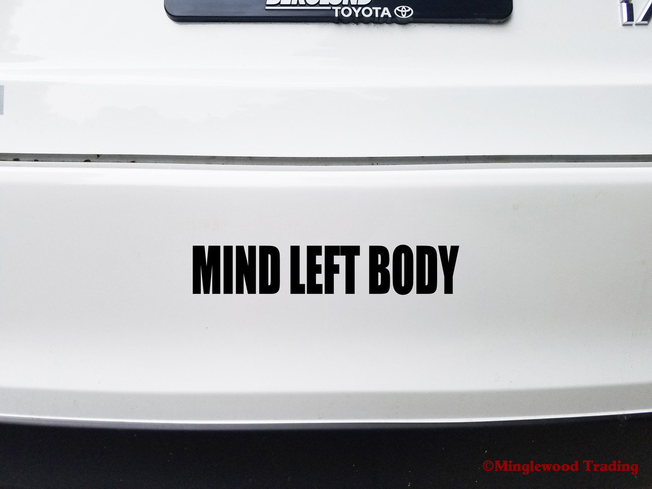 MIND LEFT BODY Vinyl Decal Sticker - Grateful Dead Jam Jerry Garcia