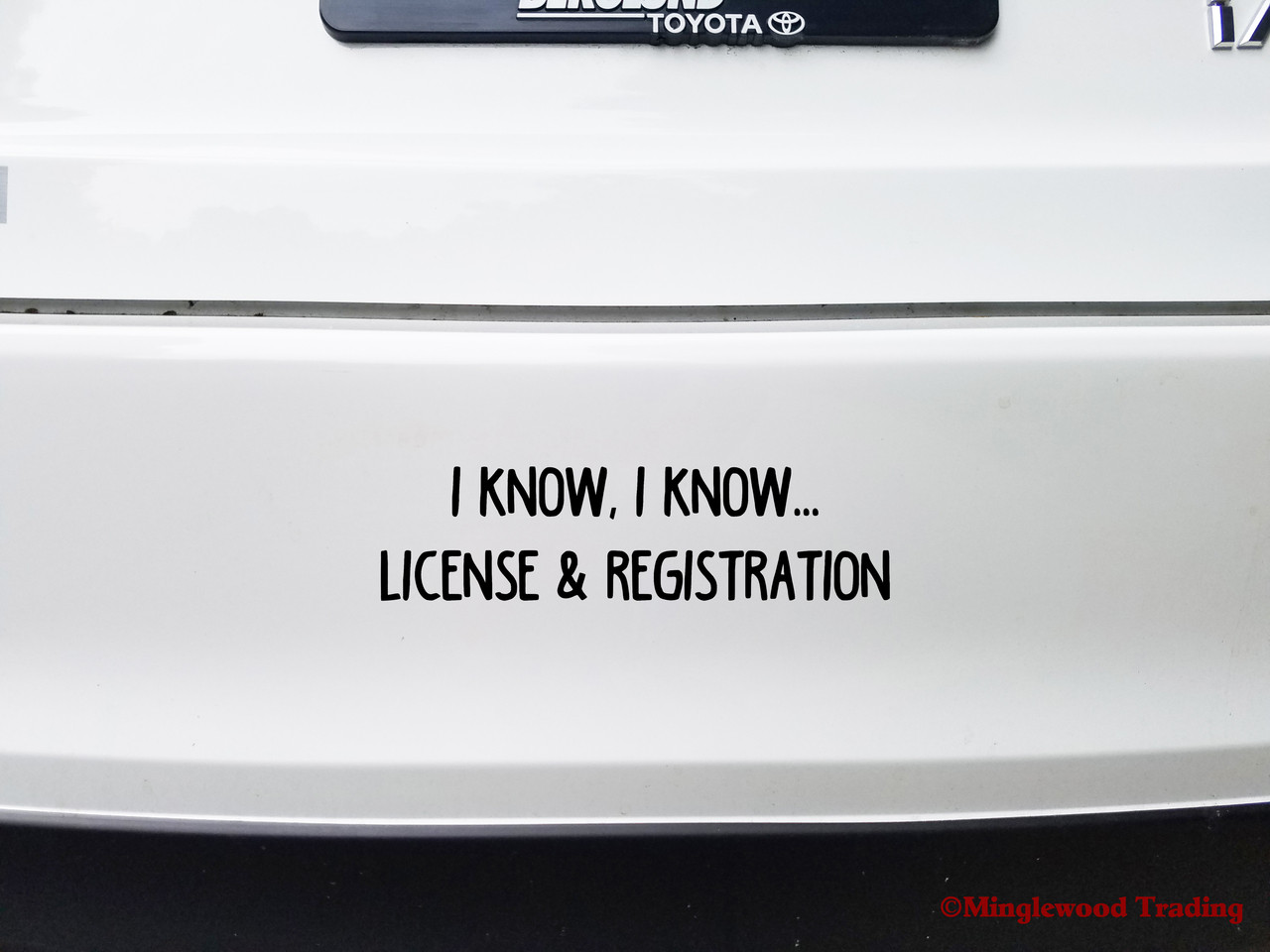 I KNOW I KNOW … LICENSE & REGISTRATION 8" x 2" Vinyl Decal Sticker