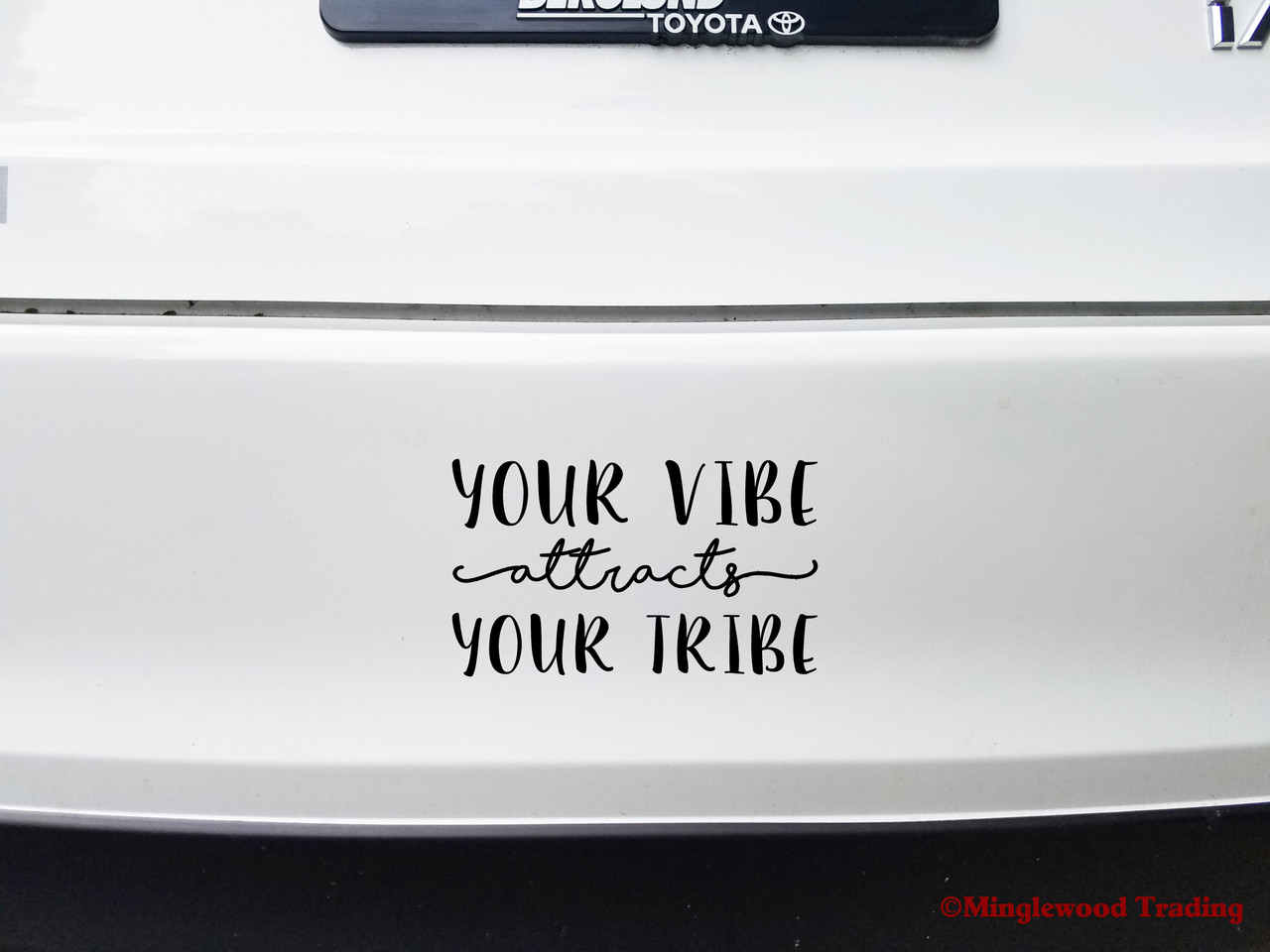 YOUR VIBE ATTRACTS YOUR TRIBE 7" x 4" Vinyl Decal Sticker