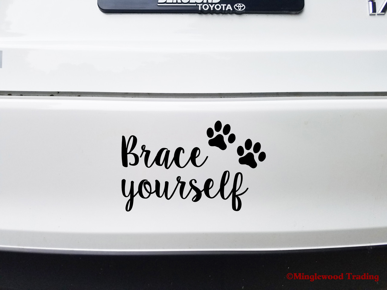 Brace Yourself Vinyl Decal - Puppy Dog Cat Kitten Pawprints - Die Cut Sticker