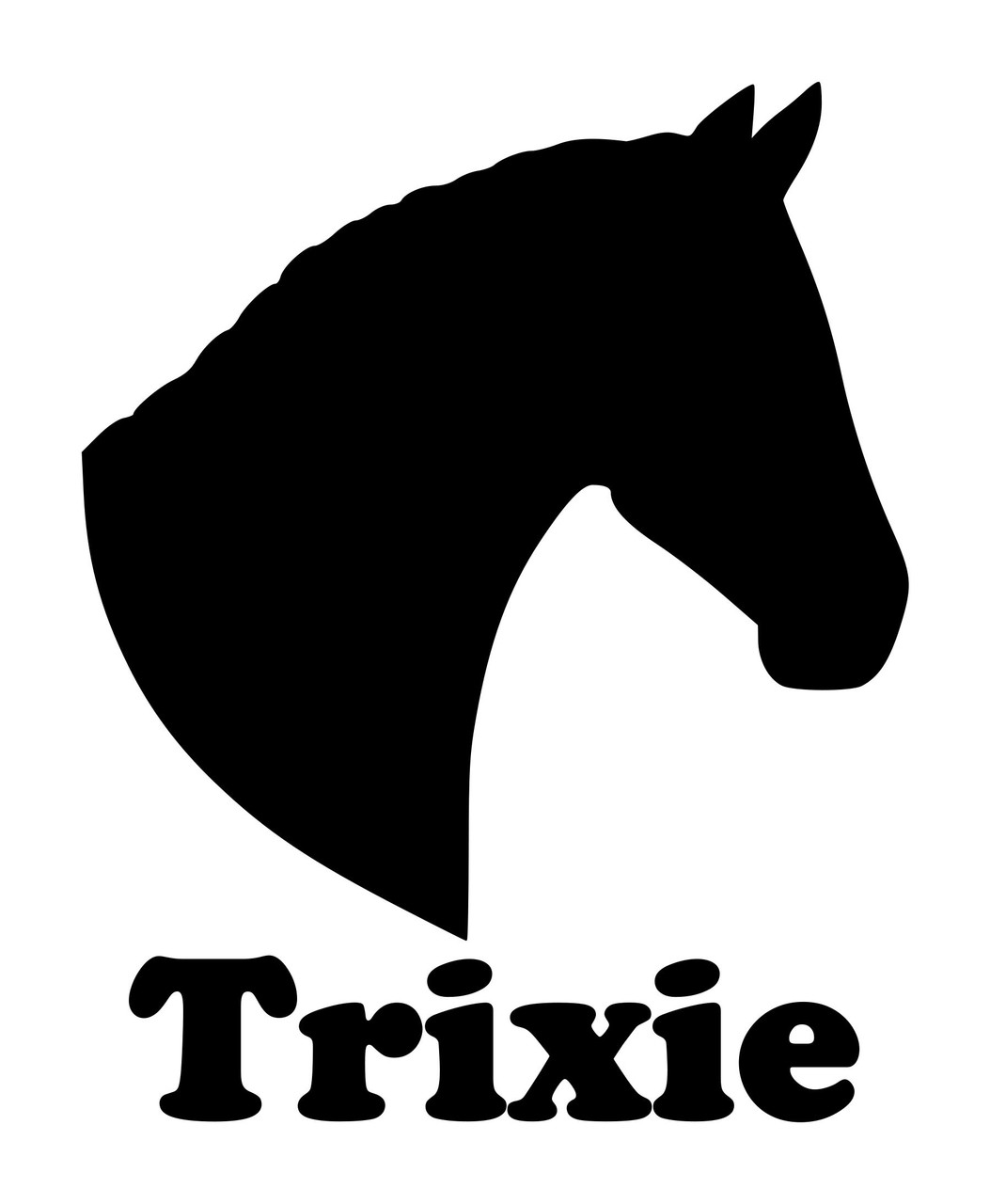 Horse Head -V1- with Personalized Name Vinyl Decal Sticker - Equestrian Farm Riding Dressage Equine Profile Silhouette