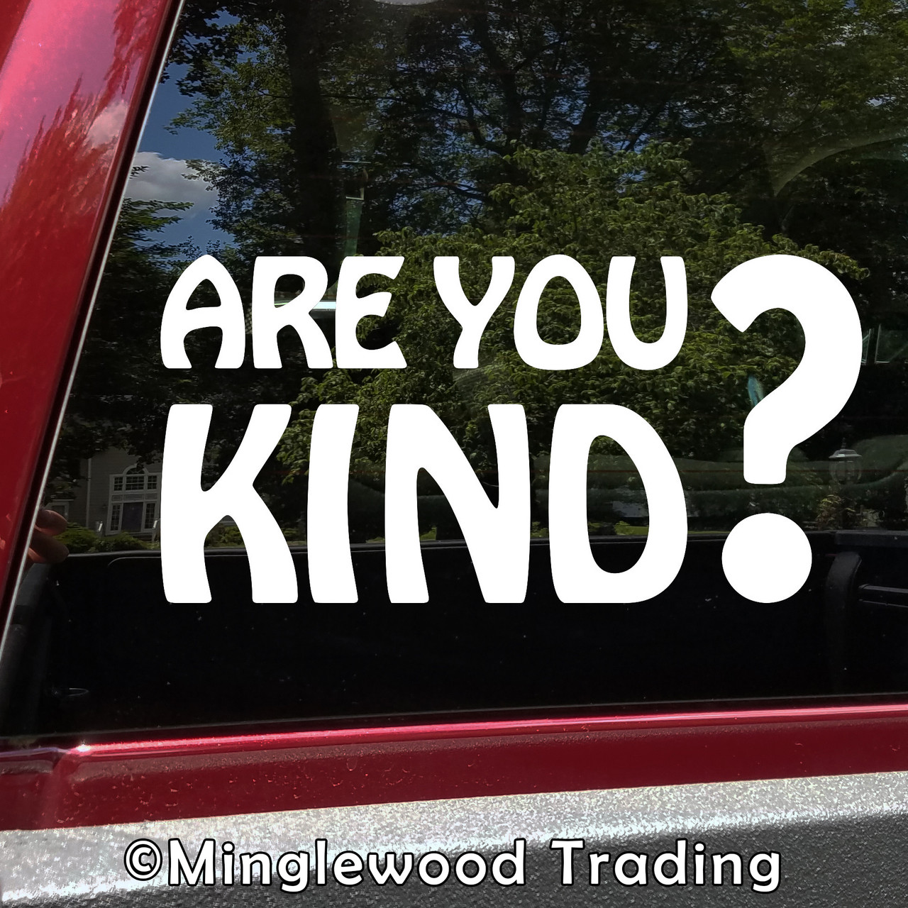 Are You Kind? Vinyl Sticker - Grateful Dead - Die Cut Decal V1