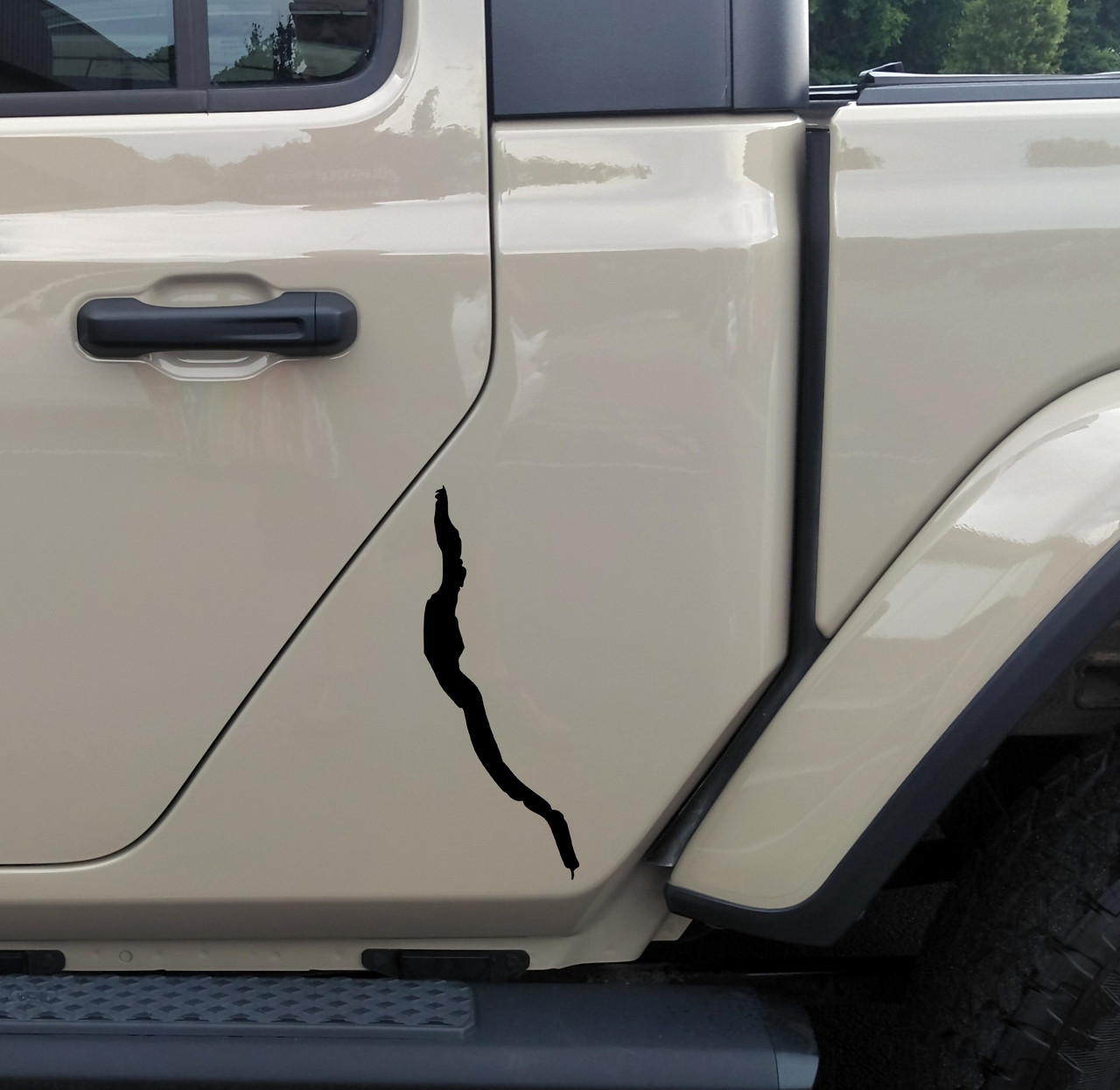 White Cayuga Lake New York shoreline silhouette vinyl decal applied vertically to a dark vehicle rear window, showing the long narrow geographic outline of the Finger Lakes reservoir