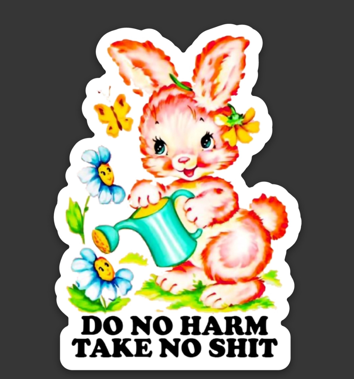 2-pack Do No Harm Take No Shit Vinyl Decals - Cute Rabbit Dragonfly Die Cut Stickers