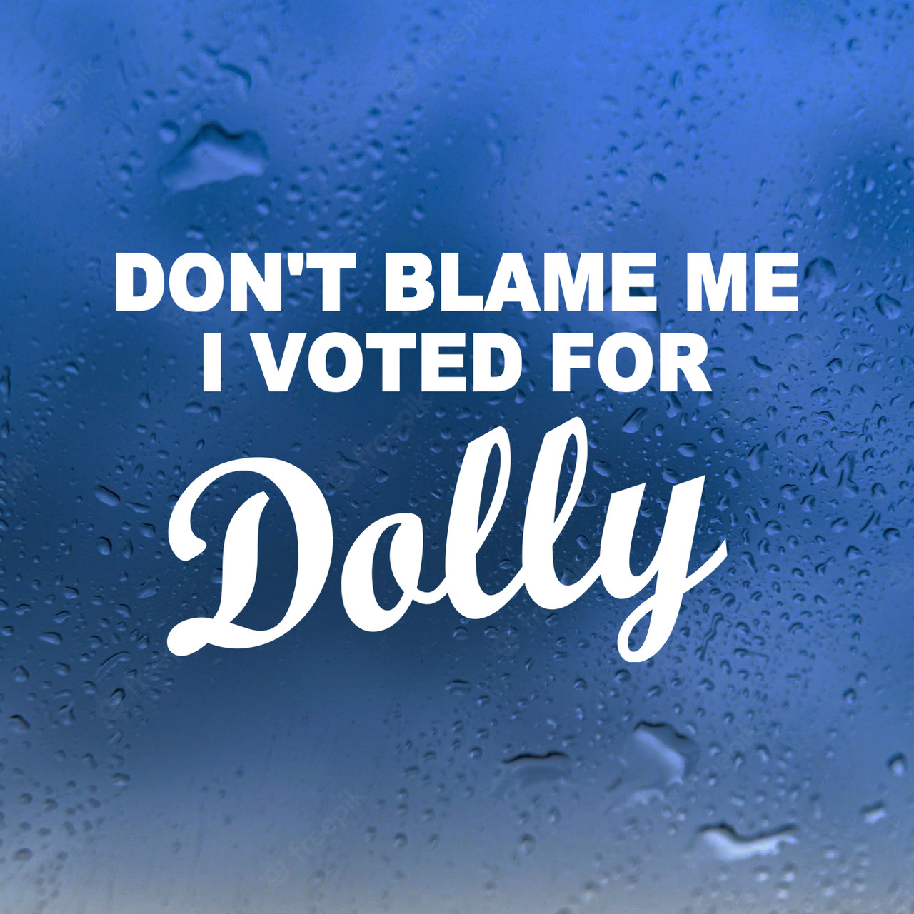 Funny Custom Vinyl Decals | Don't Blame Me, I Voted For Dolly | Die Cut Sticker