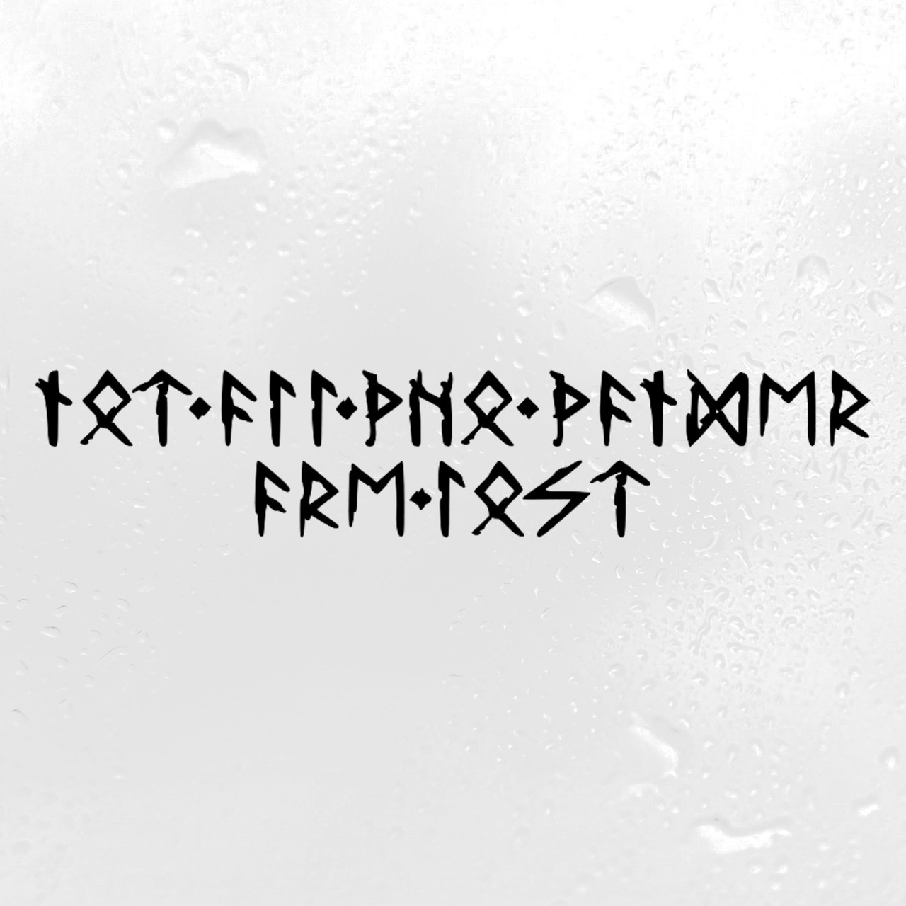 Not All Who Wander Are Lost Viking Futhark runes vinyl decal