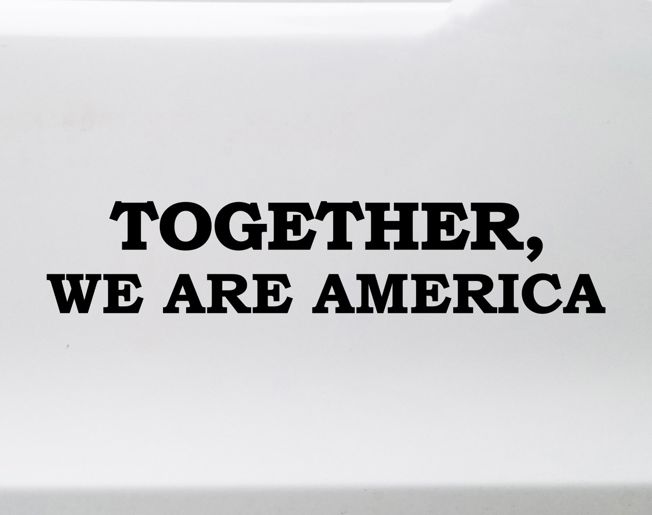 Together We Are America vinyl sticker decal featuring a clean unity message in minimalist typography