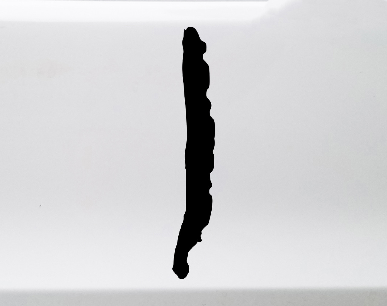 Canadice Lake vinyl sticker decal with clean lake life design inspired by the Finger Lakes