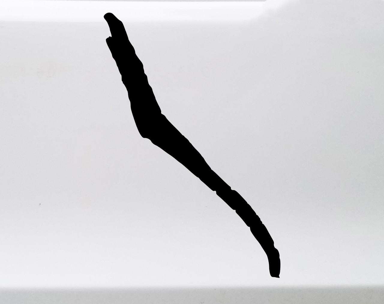 Skaneateles Lake vinyl sticker decal with clean lake life design inspired by the Finger Lakes