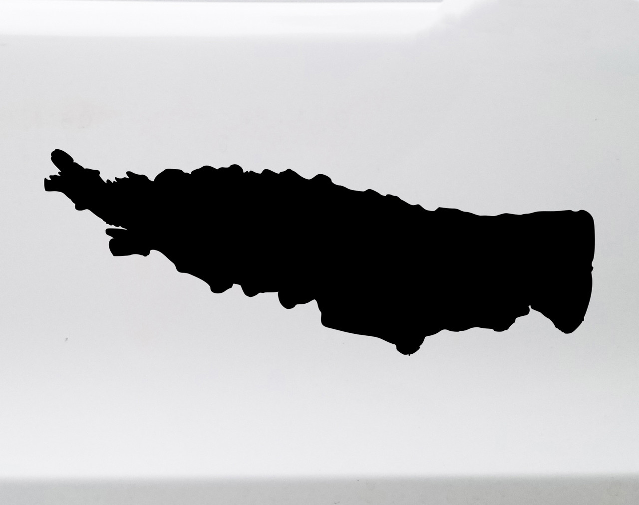 Oneida Lake New York outline vinyl sticker decal waterproof Upstate shoreline design cut from solid vinyl