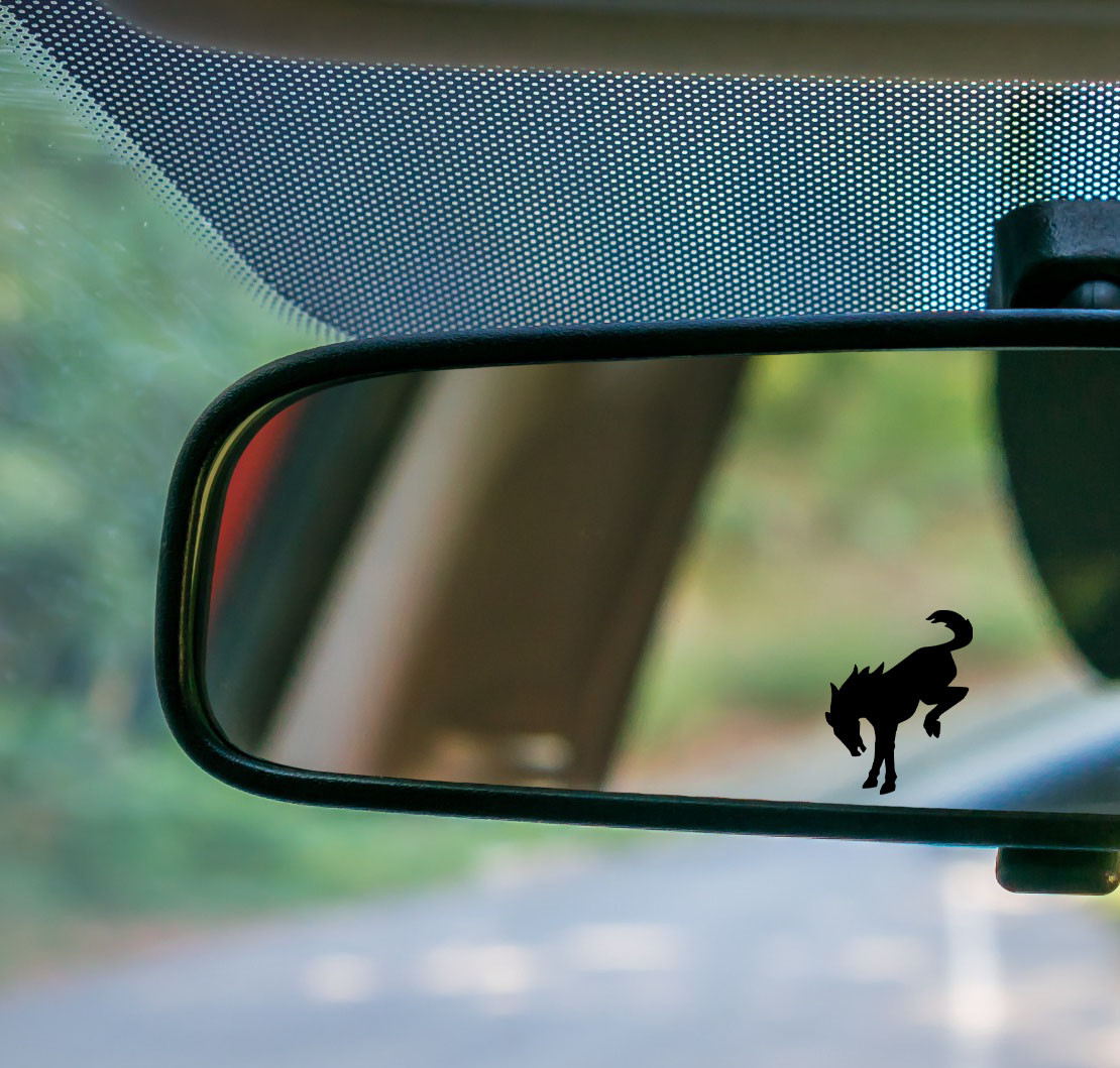 Bucking Bronco western rodeo horse silhouette vinyl sticker decal vehicle easter egg graphic