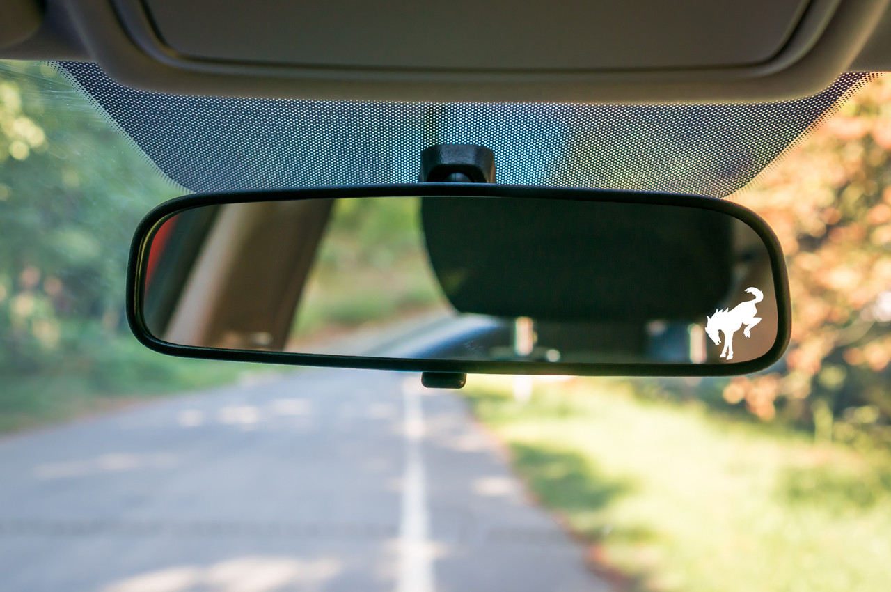 Bucking Bronco western rodeo horse silhouette vinyl sticker decal vehicle easter egg graphic