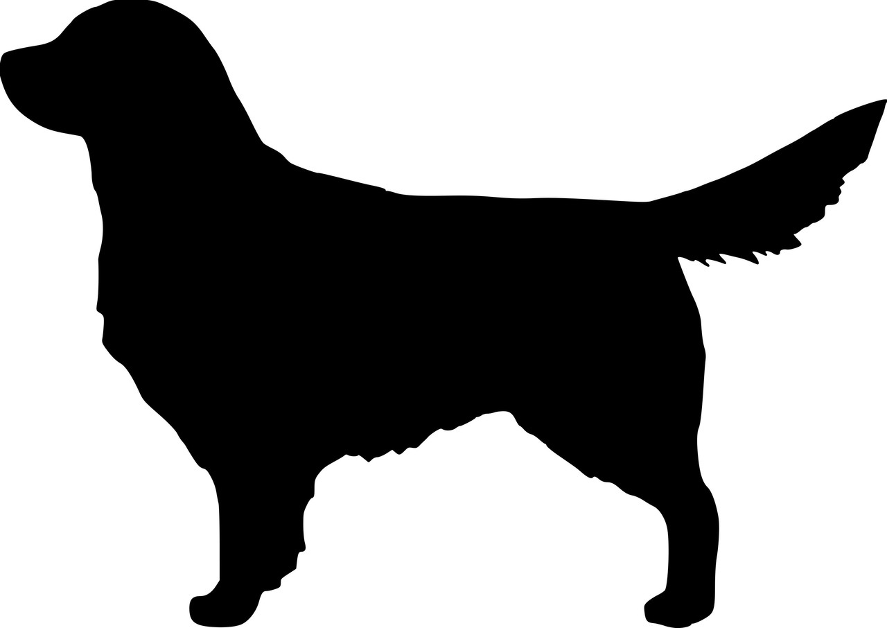 golden retriever running silhouette