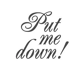 Put Me Down funny toilet lid vinyl decal for bathroom and powder room decor