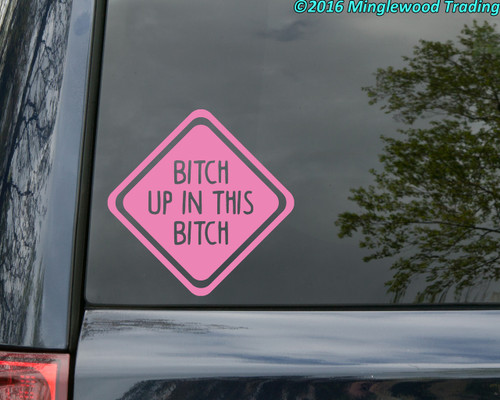 BITCH UP IN THIS BITCH Vinyl Sticker - Car Truck Window - Die Cut Decal