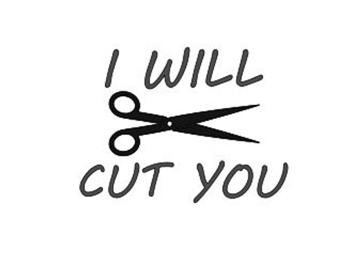 I WILL CUT YOU Vinyl Sticker - Hair Dresser Stylist Scissors Salon Haircut - Die Cut Decal