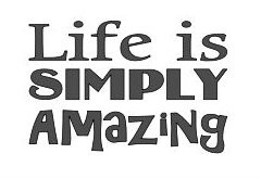 Life Is Simply Amazing vinyl decal featuring playful mixed lettering and a positive inspirational message