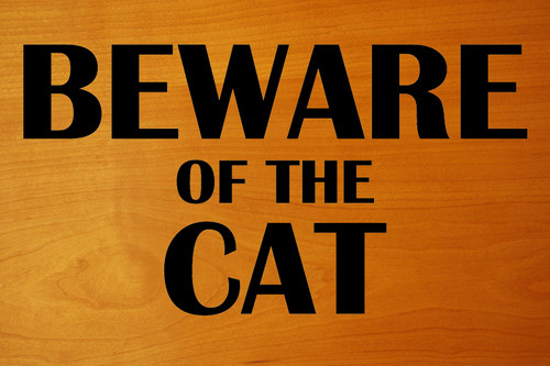 BEWARE OF THE CAT 8" x 4.25" Vinyl Decal Sticker   - 20 Color Options