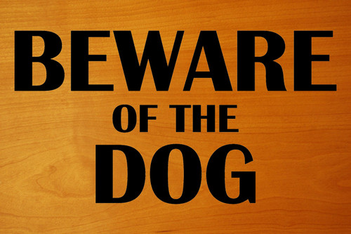 BEWARE OF THE DOG 8" x 4.25" Vinyl Decal Sticker   - 20 Color Options BEWARE OF THE DOG 8" x 4.25" Vinyl Decal Sticker   - 20 Color Options