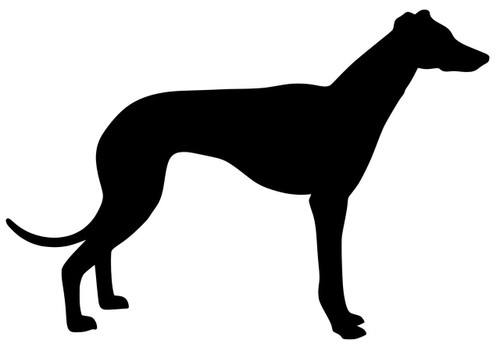 GREYHOUND Vinyl Sticker - English Sighthound Italian Dog Puppy - Die Cut Decal