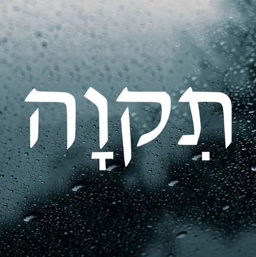  Hope in Hebrew Vinyl Decal - Tikvah Tikvat Jewish - Die Cut Sticker