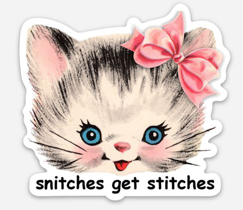 2-pack Snitches get Stitches Vinyl Decals - Kitsch Cute Cat Kitten Die Cut Stickers