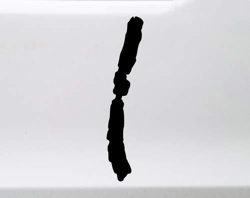 Conesus Lake vinyl sticker decal with clean lake life design inspired by the Finger Lakes