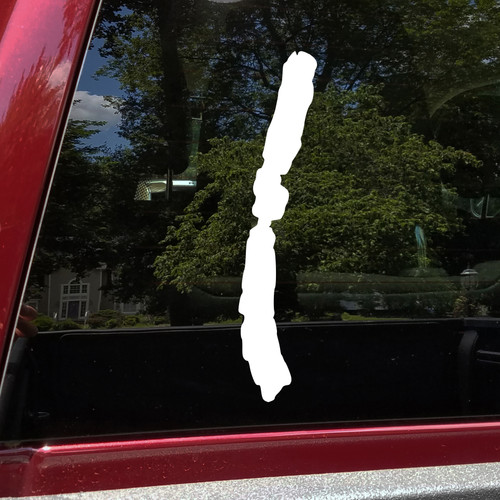 Conesus Lake vinyl sticker decal with clean lake life design inspired by the Finger Lakes