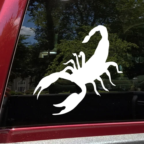 Scorpion vinyl decal featuring arachnid silhouette with large pincers legs and raised curved stinger