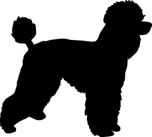 Standard Poodle Dog vinyl decal sticker 4.5" x 5" Caniche Barbone