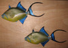 Queen Triggerfish fiberglass fish replica