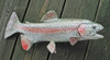 Rainbow trout fiberglass fish replica