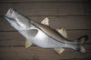 Snook fiberglass fish replica