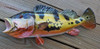 Peacock Bass fiberglass fish replica