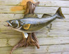 Walleye fiberglass fish replica